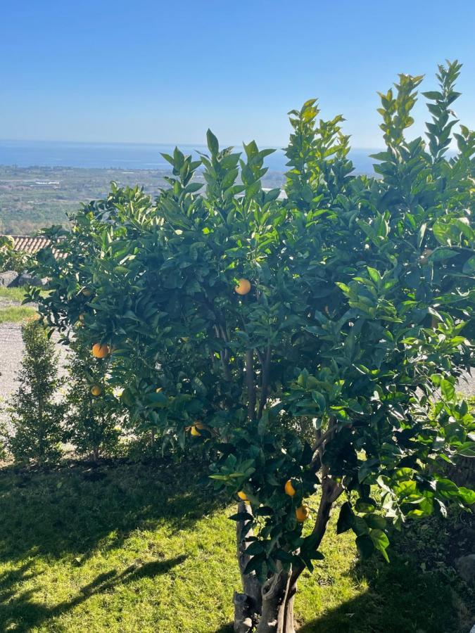 Profumo Di Zagara Βίλα Fiumefreddo di Sicilia Εξωτερικό φωτογραφία
