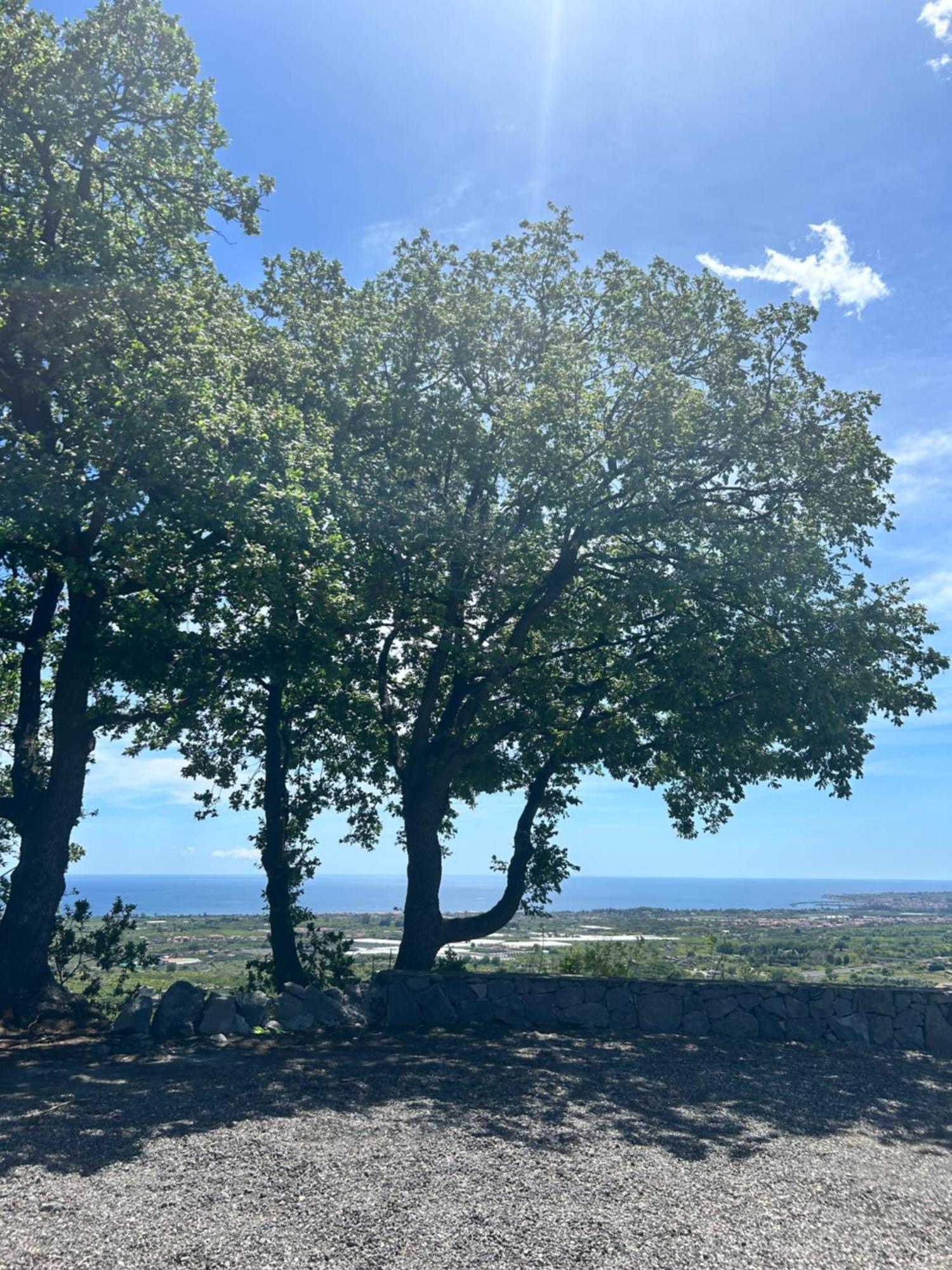 Profumo Di Zagara Βίλα Fiumefreddo di Sicilia Εξωτερικό φωτογραφία